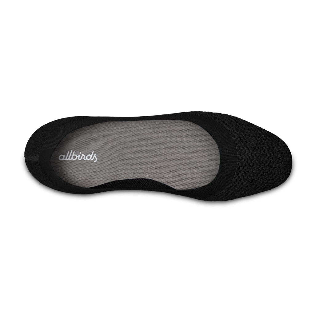 Allbirds W Tree Breezer Ballerinas in SCHWARZ