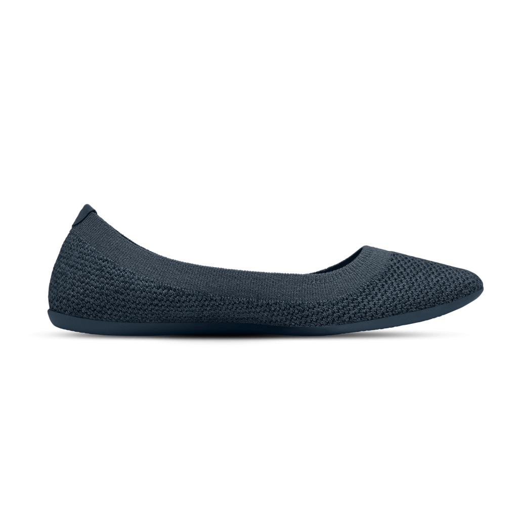 Allbirds W Tree Breezer Ballerinas in BLAU